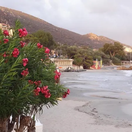 « marinella » Splendide Vue Aux Sanguinaires Apartmán