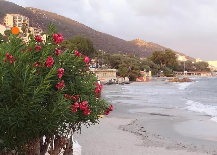 « marinella » Splendide Vue Aux Sanguinaires Apartment